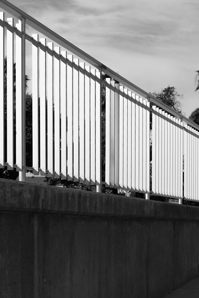 Black and white photo of a walkway with people and palm trees.